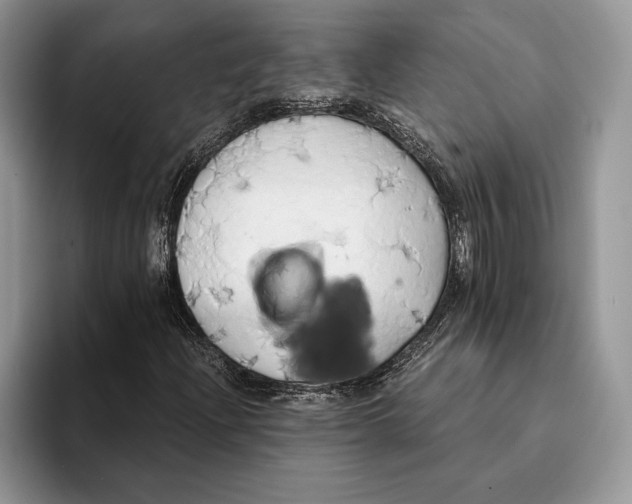 X0000093411204200711091353