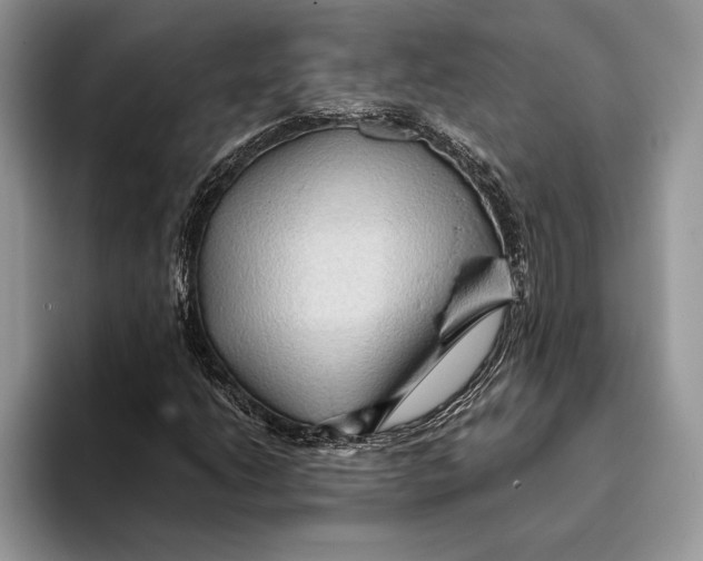 X0000093411206200711091353