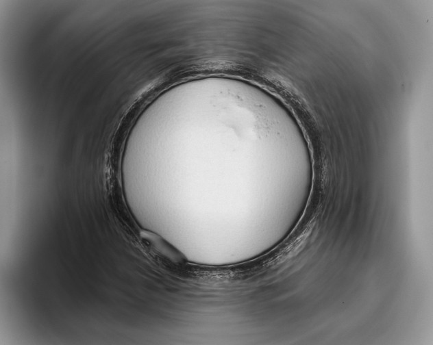 X0000093411210200711091353