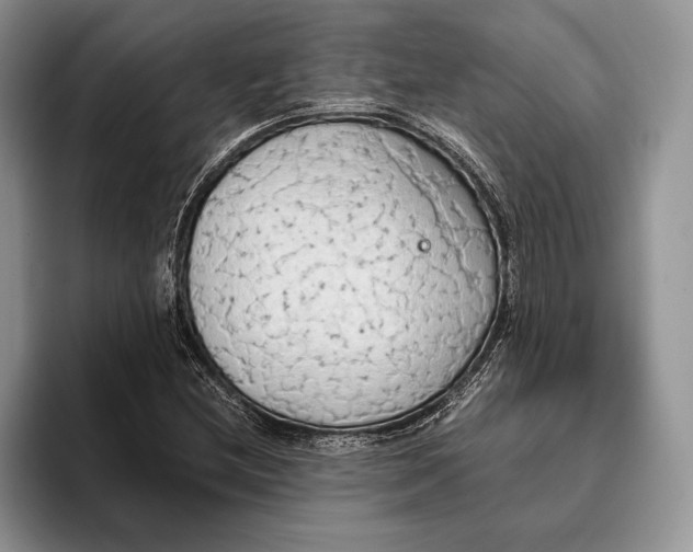 X0000093411212200711091353