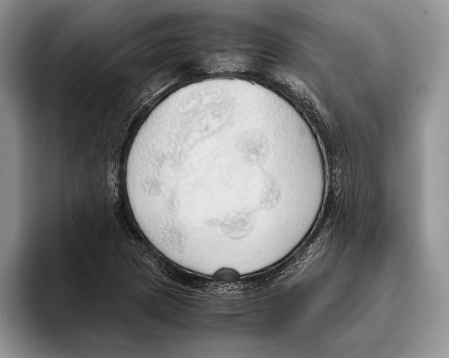 X0000093411217200711091353