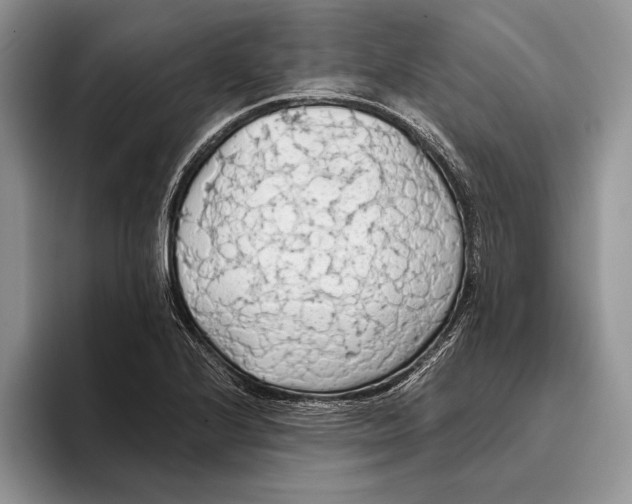 X0000093411224200711091353