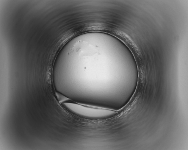 X0000093411225200711091353