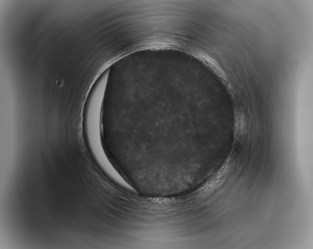 X0000093411226200711091353