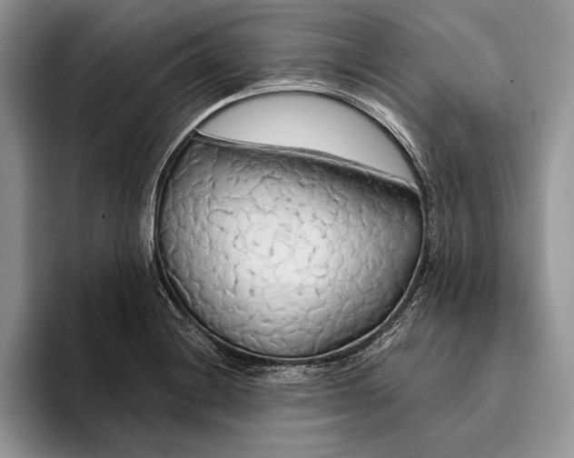 X0000093411228200711091353