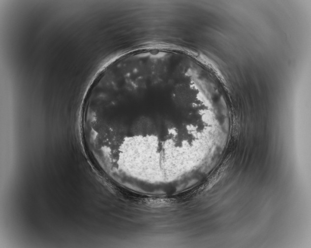 X0000093411231200711091353