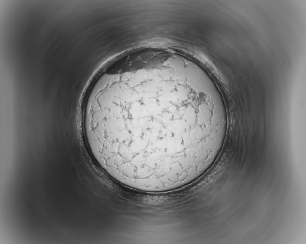 X0000093411232200711091353