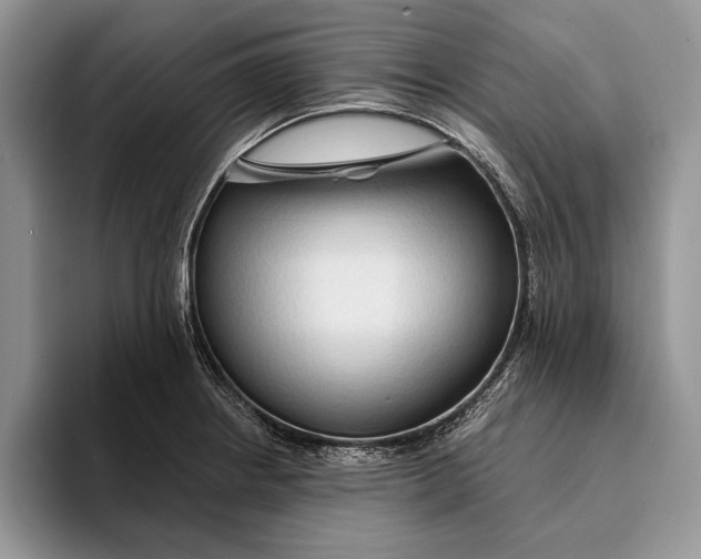 X0000093411234200711091353