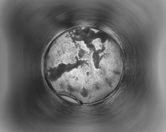 X0000093411235200711091353