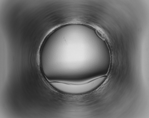 X0000093411238200711091353