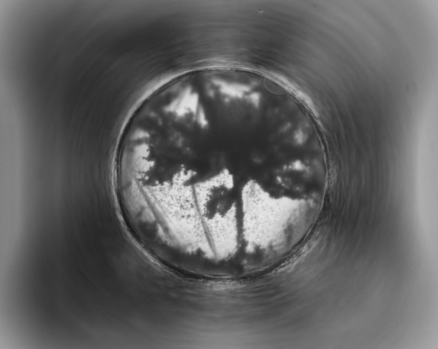 X0000093411239200711091353