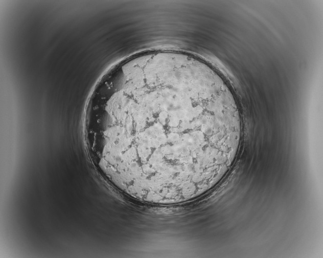 X0000093411240200711091353