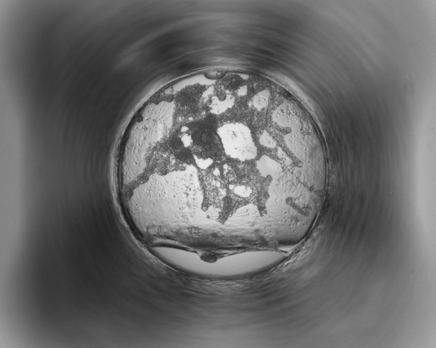 X0000093411243200711091353