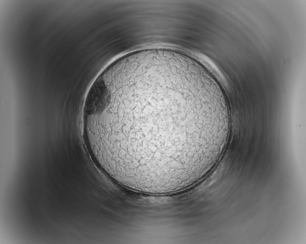 X0000093411244200711091353