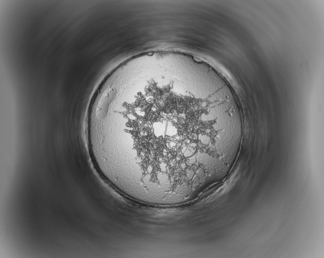 X0000093411247200711091353