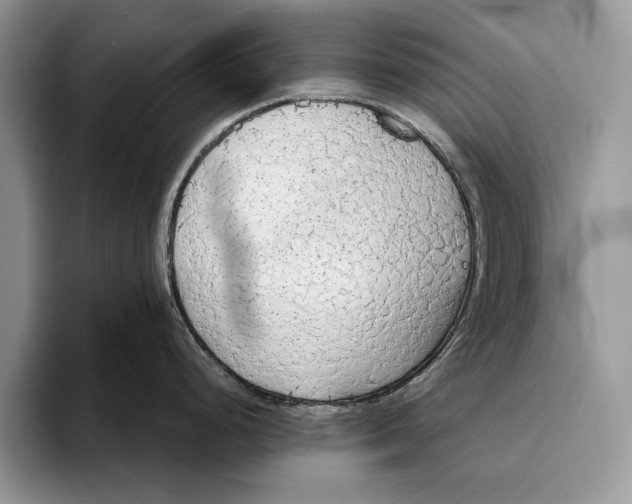 X0000093411248200711091353