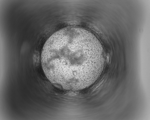 X0000093411251200711091353