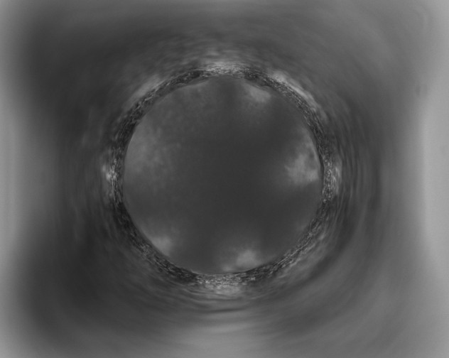 X0000093411254200711091353