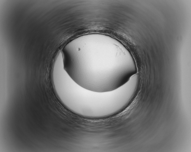 X0000093411257200711091353