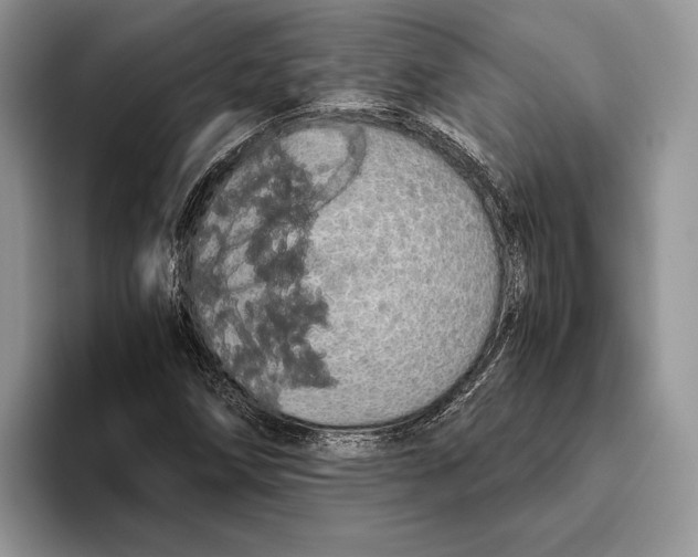 X0000093411258200711091353