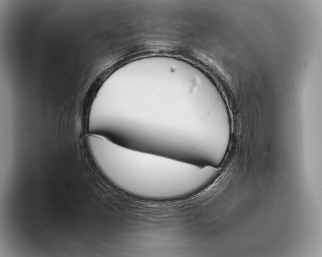 X0000093411261200711091353