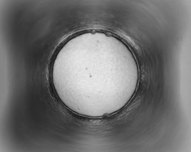 X0000093411264200711091353