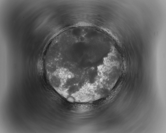 X0000093411266200711091353