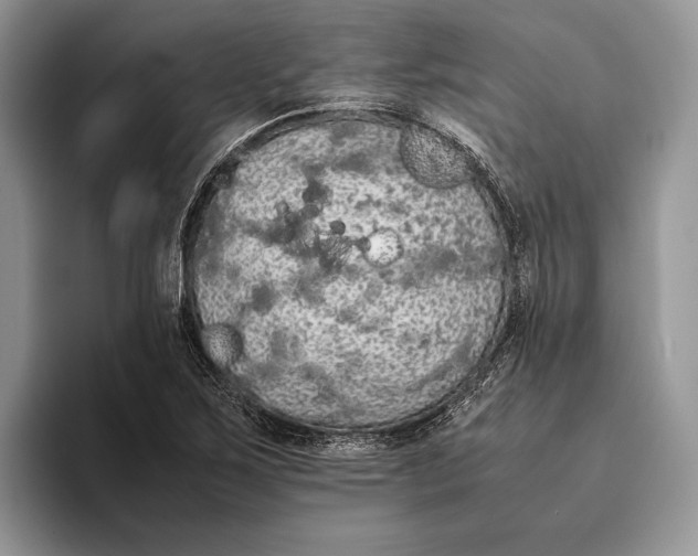 X0000093411267200711091353