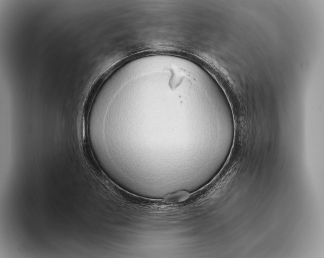 X0000093411269200711091353