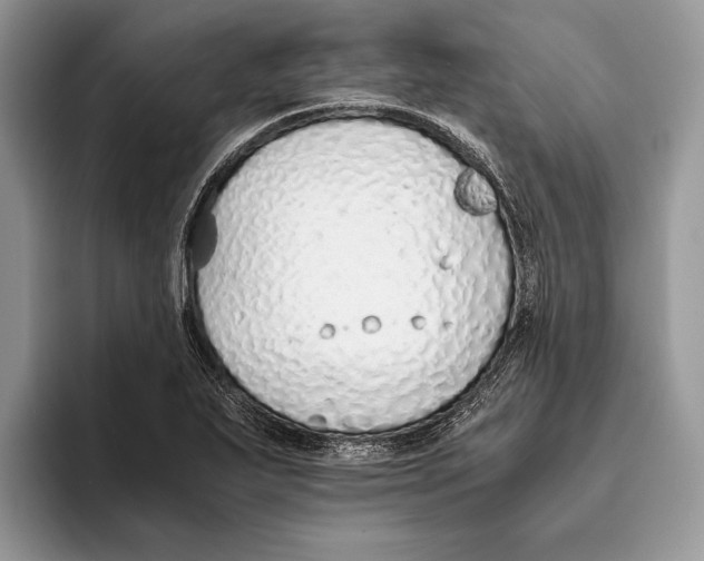 X0000093411271200711091353