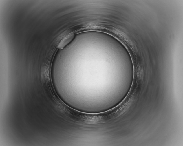 X0000093411273200711091353