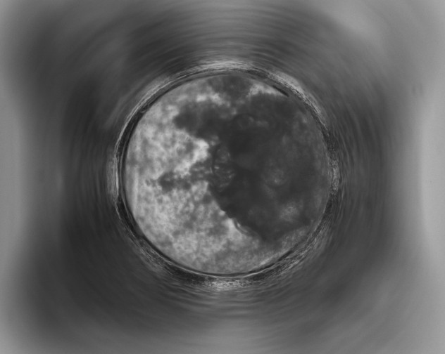 X0000093411274200711091352