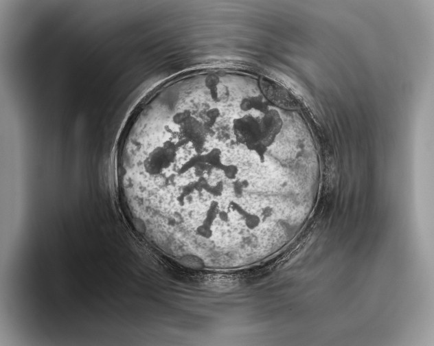 X0000093411275200711091352