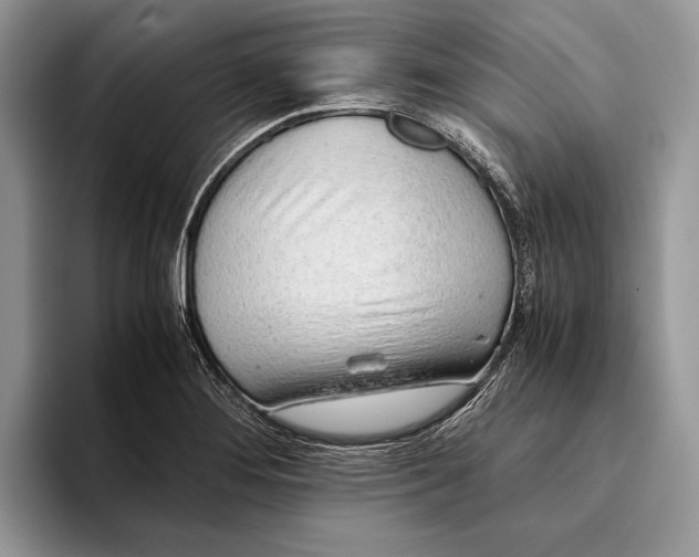 X0000093411276200711091352