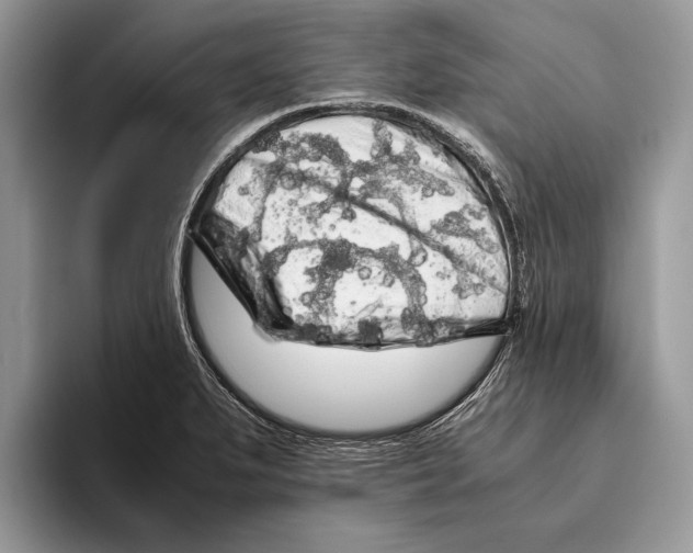 X0000093411279200711091352