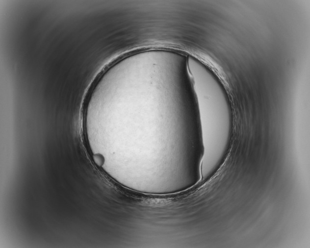 X0000093411280200711091352