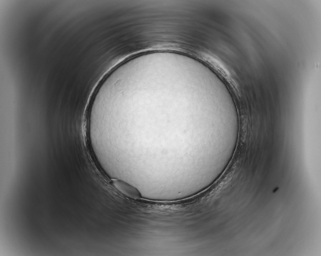 X0000093411284200711091352