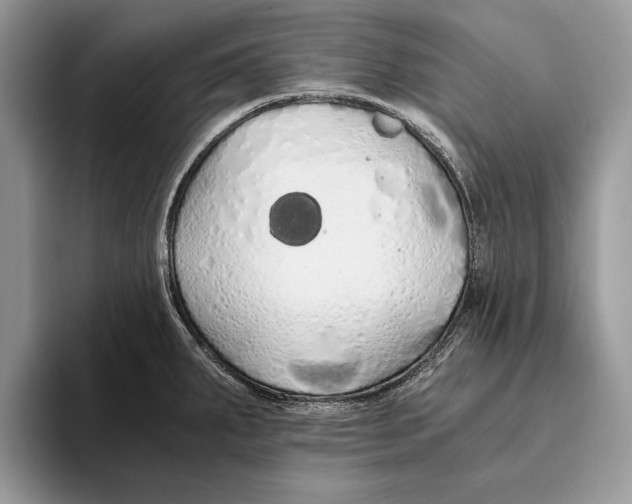 X0000093411287200711091352