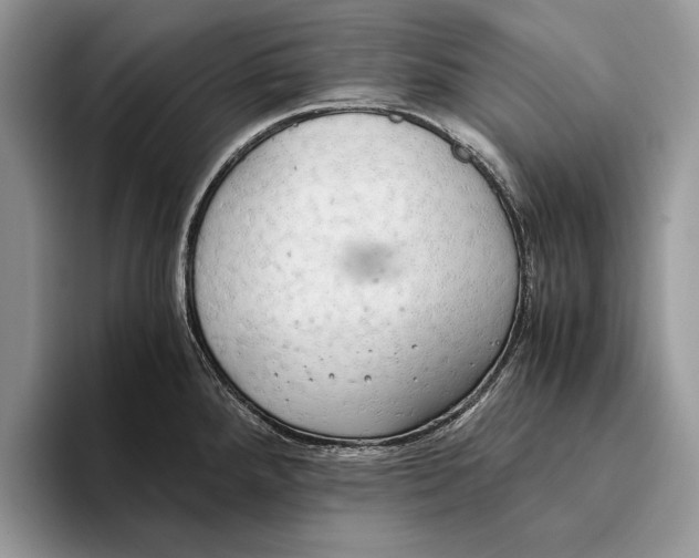 X0000093411288200711091352