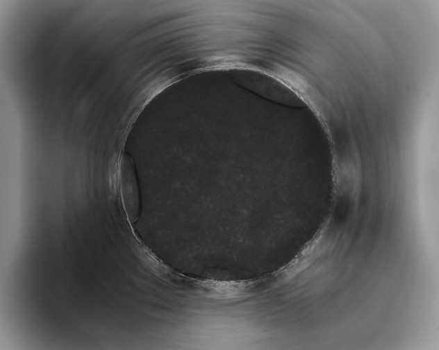 X0000093411289200711091352