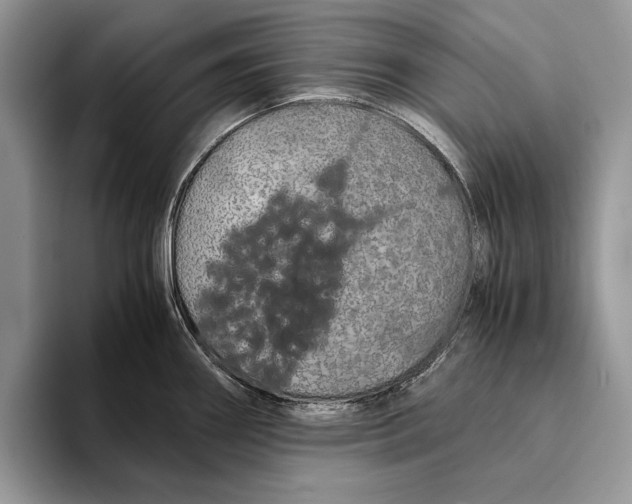 X0000093411290200711091352