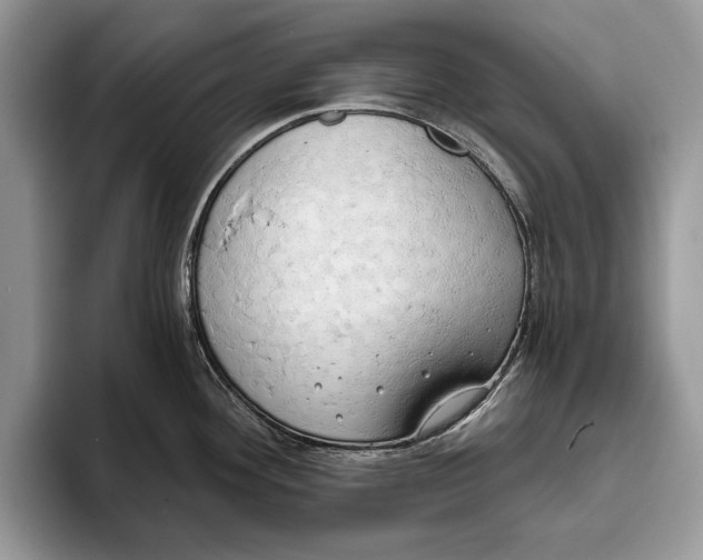 X0000093411292200711091352