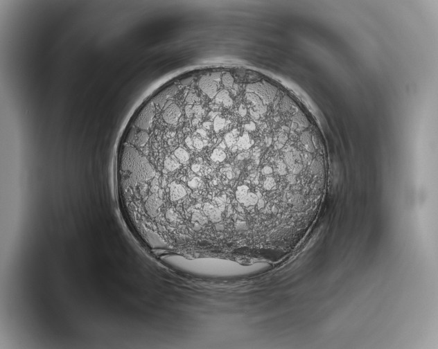 X0000093411295200711091352