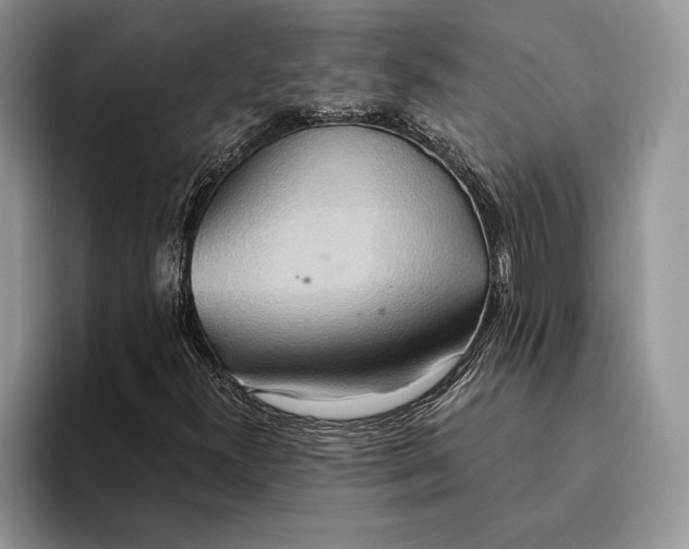 X0000093411300200711091352