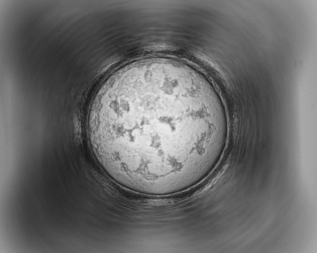 X0000093411305200711091352