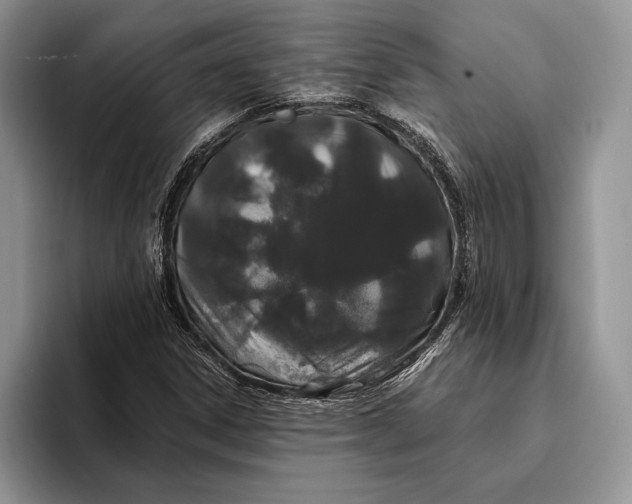 X0000093411306200711091352