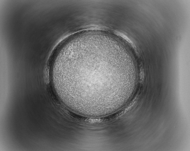 X0000093411310200711091352