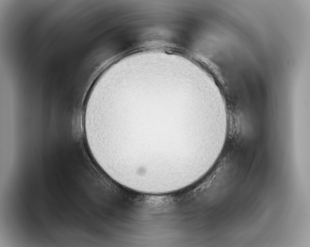 X0000093411322200711091352