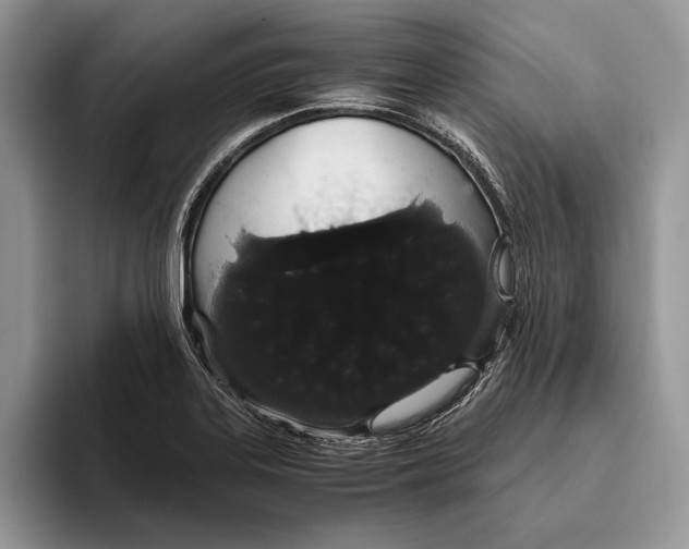 X0000093411323200711091352