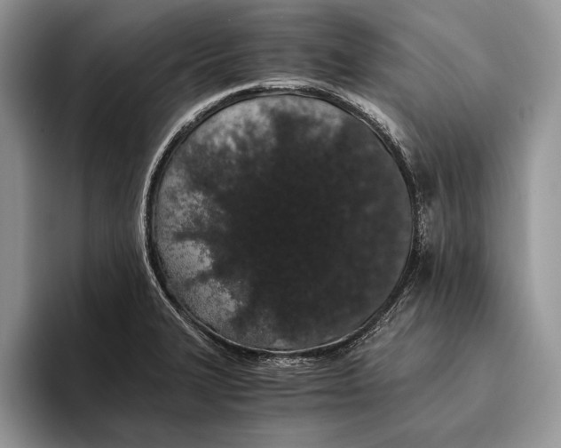 X0000093411327200711091352